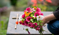 Burial or Cremation?